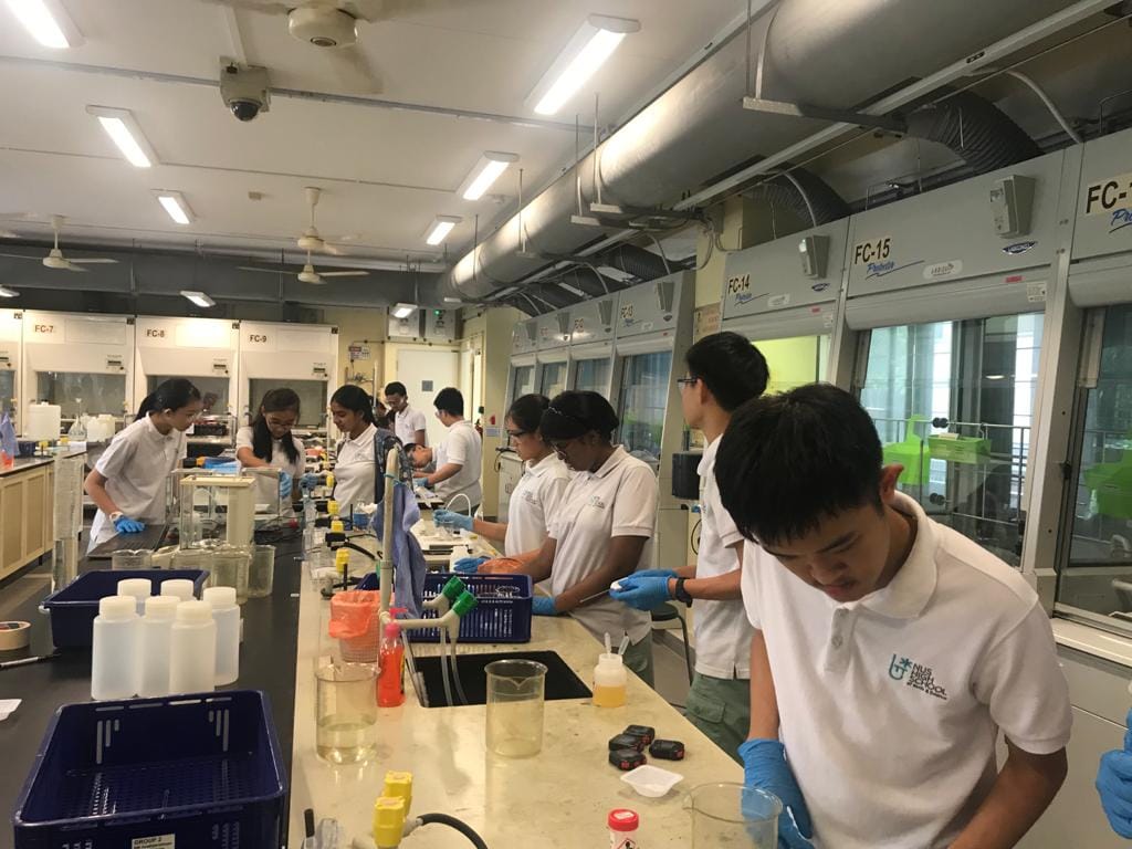 Junior Science Research Module for Year 3s